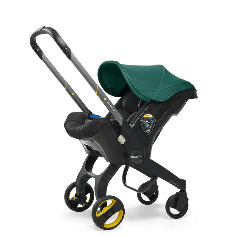 Donna buggy sales